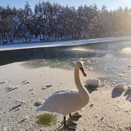 Nimfa 公寓 兹拉蒂博尔