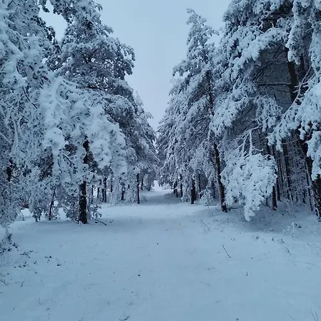 Nimfa * Zlatibor