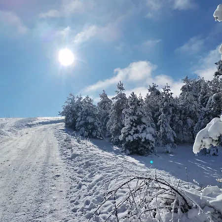 דירה Nimfa זלאטיבור