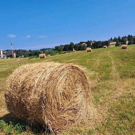 Nimfa 公寓 兹拉蒂博尔