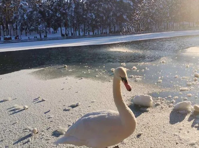 Nimfa Appartement Zlatibor