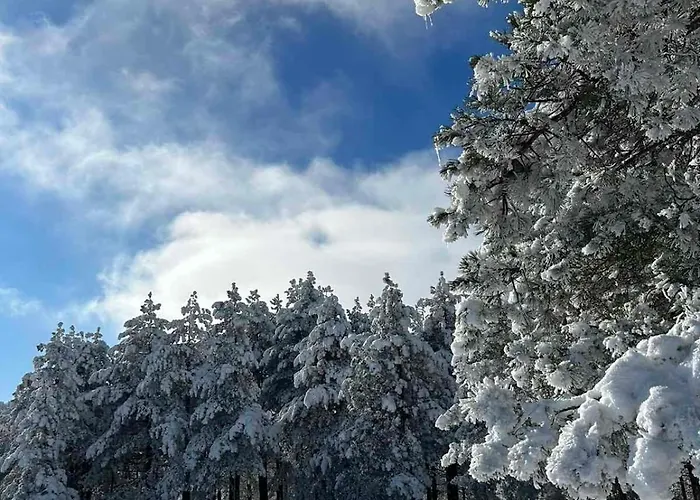 Appartamento Nimfa *