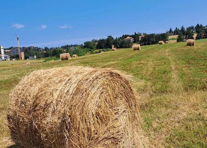 Nimfa Appartamento Zlatibor
